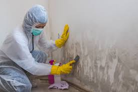 Best Comprehensive Air Testing for Mold Contaminants  in Leonardo, NJ